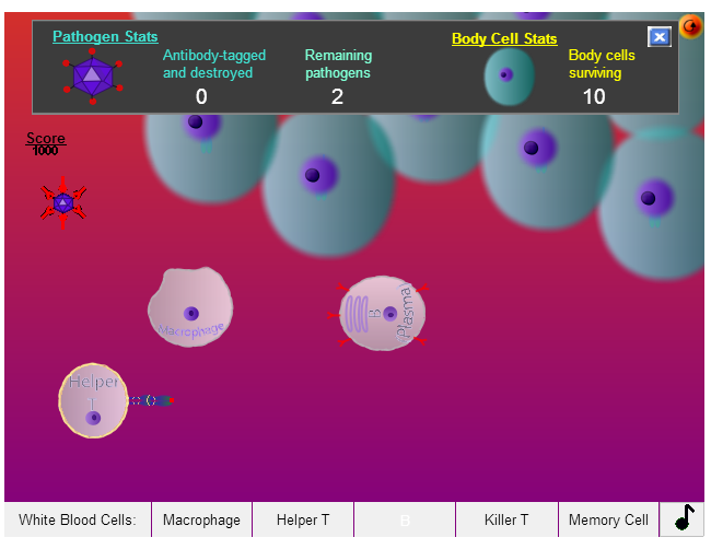 Conflict Immunity is a game that demonstrates a simplified model of how B cells, T cells and macrophages work together in humoral immunity and cell mediated immunity.