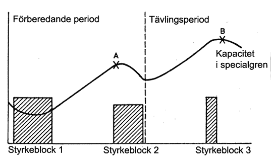 Figur 38. Makrocykel med styrkeblock i träning för idrottsgrenar där den explosiva styrkan är viktig.