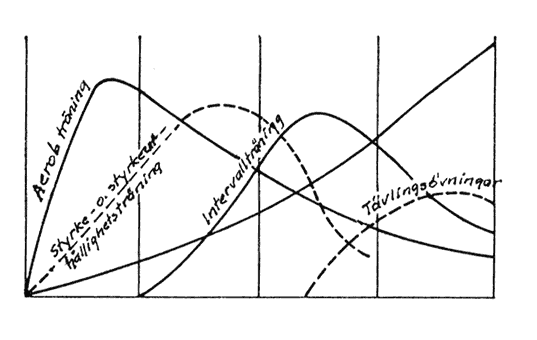 Figur 41. Träningsårets schema i uthållighetsgrenar