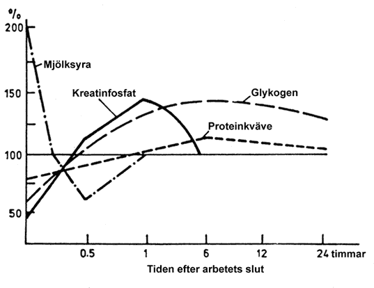 Figur 7. Heterokronism i återhämtning